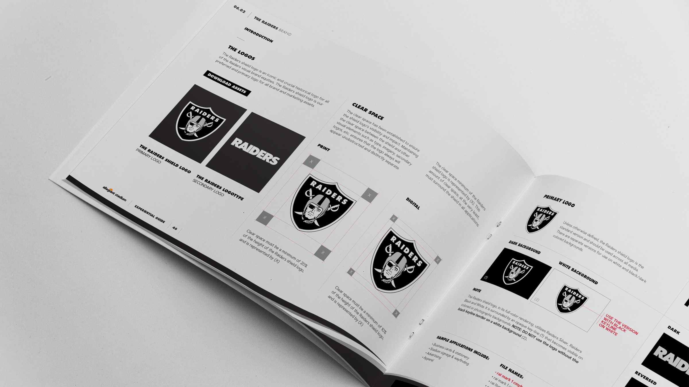 Raiders brand standards spread